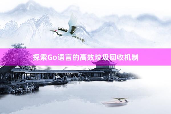 探索Go语言的高效垃圾回收机制